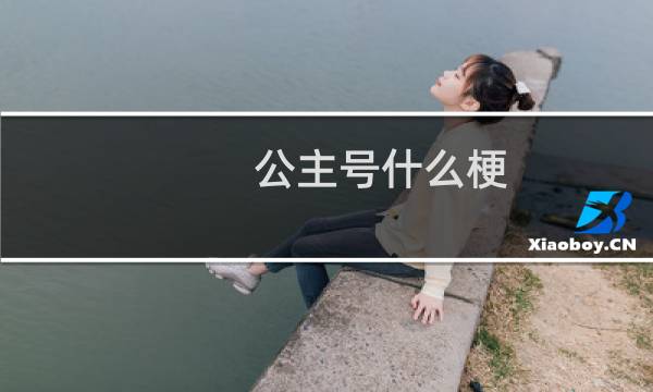 公主号什么梗