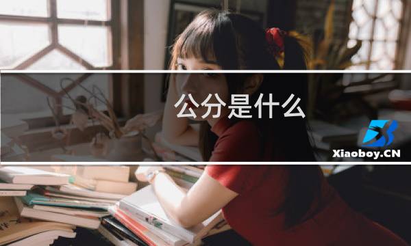 公分是什么
