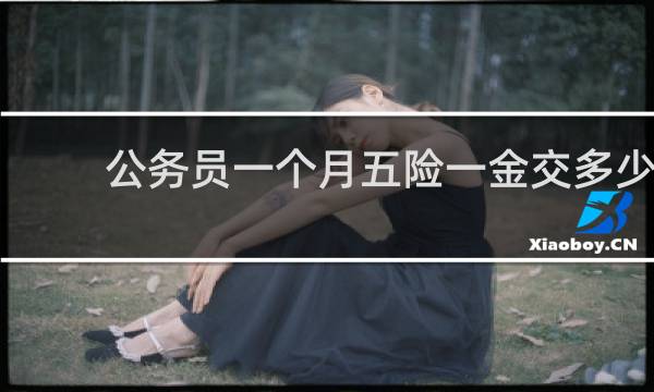 公务员一个月五险一金交多少