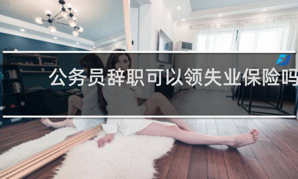 公务员辞职可以领失业保险吗图片