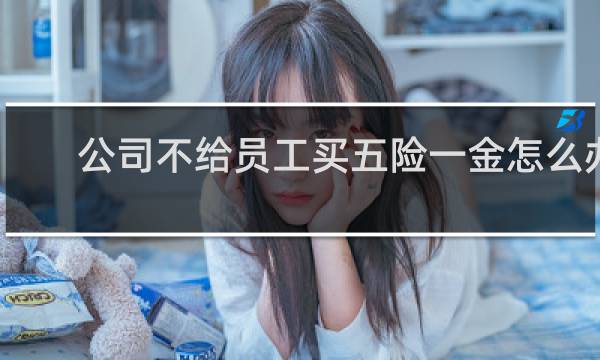 公司不给员工买五险一金怎么办