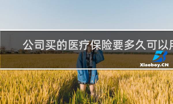 公司买的医疗保险要多久可以用