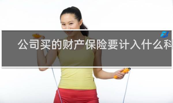 公司买的财产保险要计入什么科目
