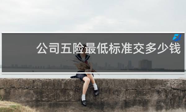 公司五险最低标准交多少钱