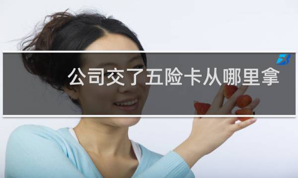 公司交了五险卡从哪里拿