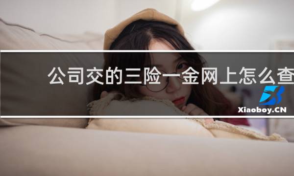 公司交的三险一金网上怎么查