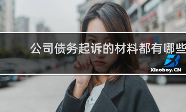 公司债务起诉的材料都有哪些