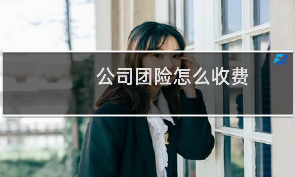 公司团险怎么收费