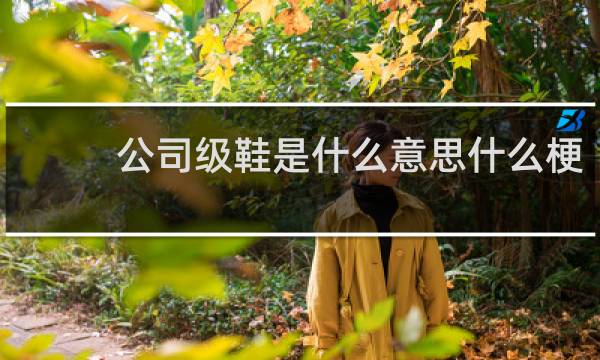 公司级鞋是什么意思什么梗
