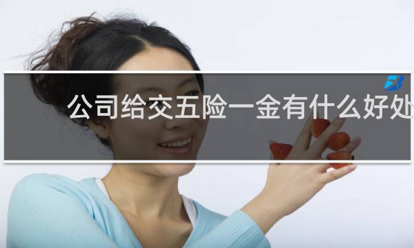 公司给交五险一金有什么好处