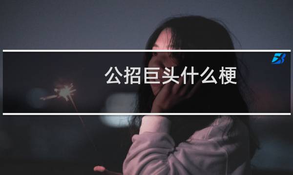 公招巨头什么梗