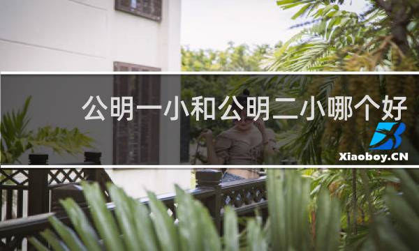 公明一小和公明二小哪个好