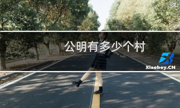 公明有多少个村