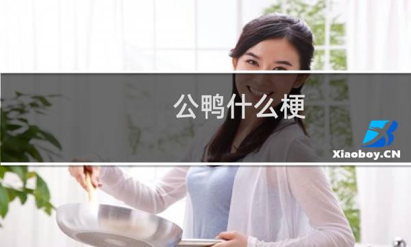 公鸭什么梗