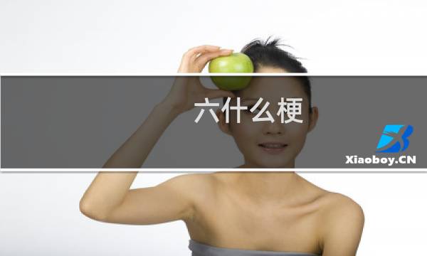 六什么梗