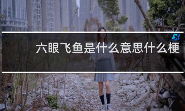 六眼飞鱼是什么意思什么梗