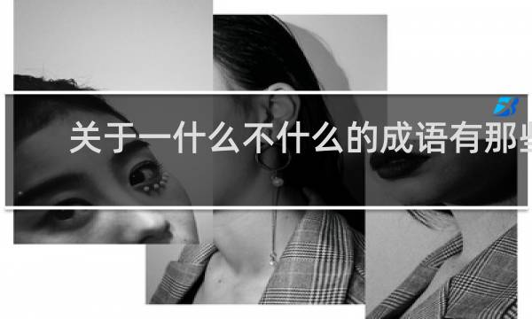 关于一什么不什么的成语有那些