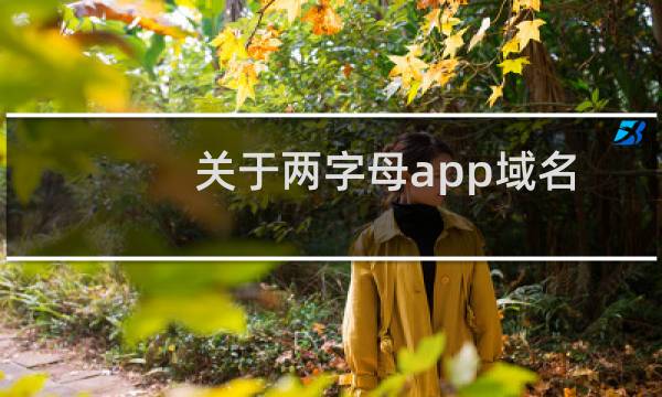 关于两字母app域名溢价的问题