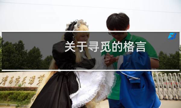 关于寻觅的格言