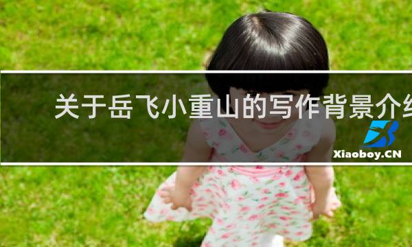 关于岳飞小重山的写作背景介绍