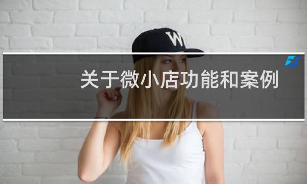 关于微小店功能和案例的问题