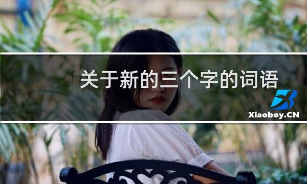 关于新的三个字的词语