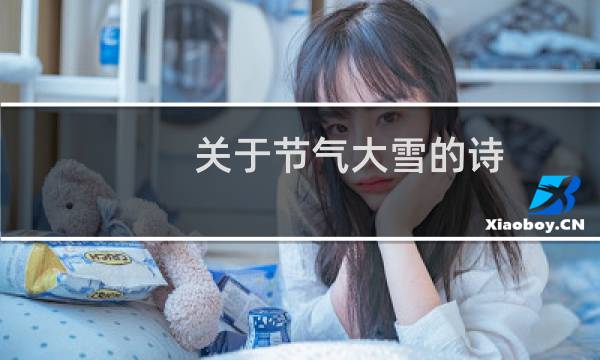 关于节气大雪的诗