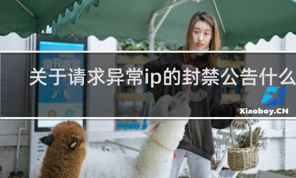 关于请求异常ip的封禁公告什么梗