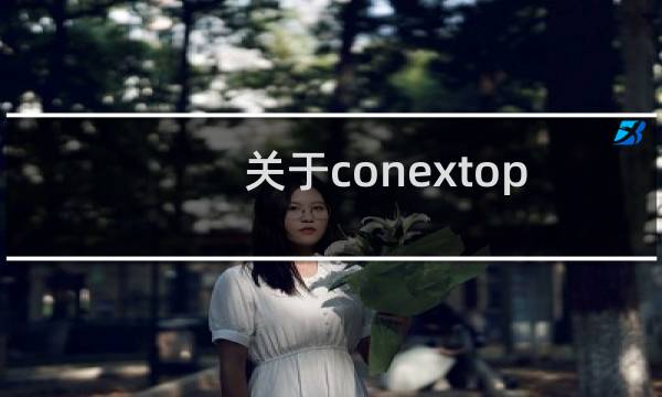 关于conextop.com不能访问的报错