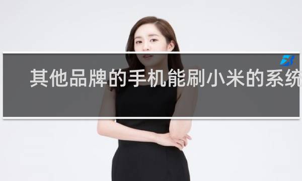其他品牌的手机能刷小米的系统吗