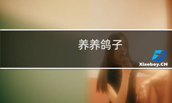 养养鸽子