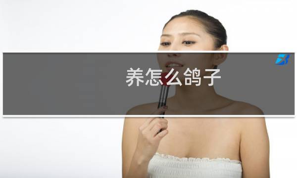 养怎么鸽子