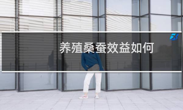 养殖桑蚕效益如何