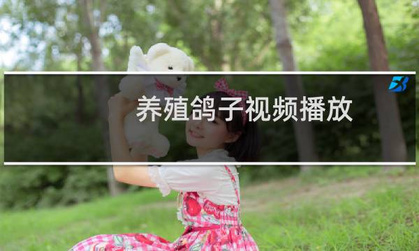 养殖鸽子视频播放