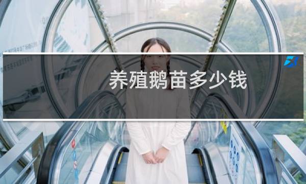 养殖鹅苗多少钱