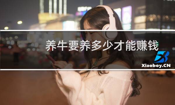 养牛要养多少才能赚钱图片