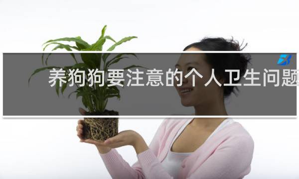 养狗狗要注意的个人卫生问题