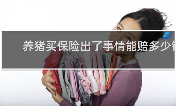 养猪买保险出了事情能赔多少钱图片