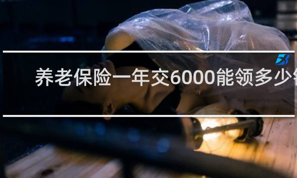 养老保险一年交6000能领多少钱图片