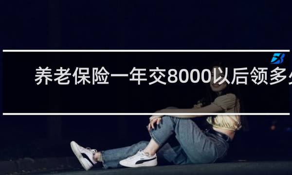 养老保险一年交8000以后领多少图片