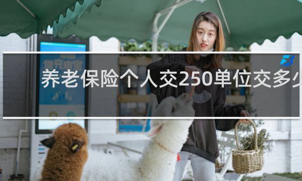 养老保险个人交250单位交多少
