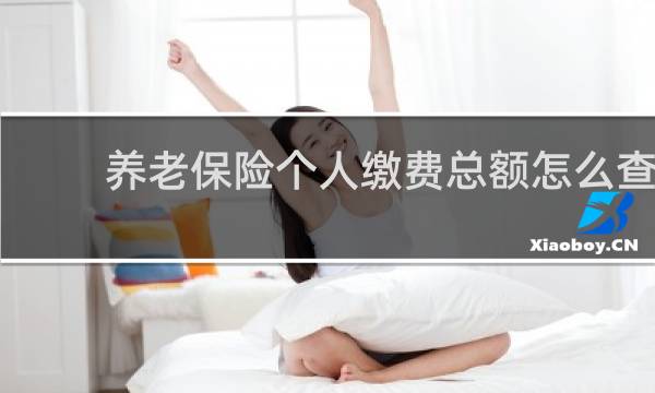 养老保险个人缴费总额怎么查
