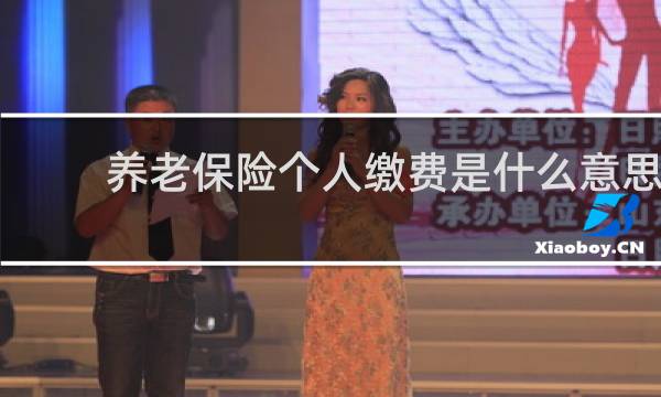 养老保险个人缴费是什么意思