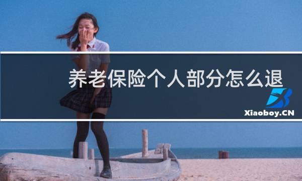 养老保险个人部分怎么退