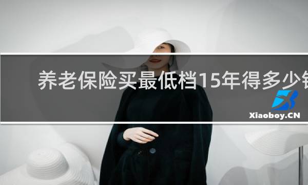 养老保险买最低档15年得多少钱