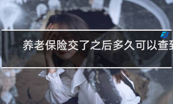 养老保险交了之后多久可以查到