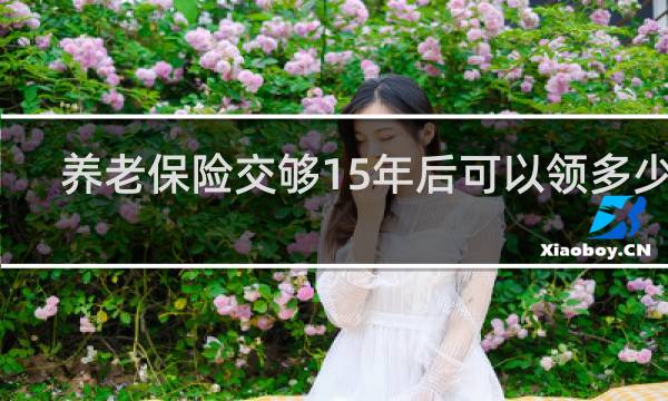 养老保险交够15年后可以领多少钱