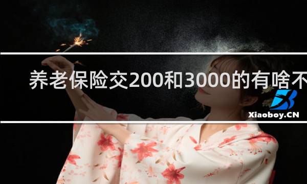 养老保险交200和3000的有啥不同