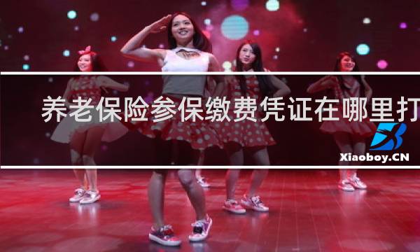 养老保险参保缴费凭证在哪里打印