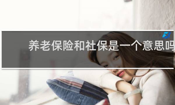 养老保险和社保是一个意思吗